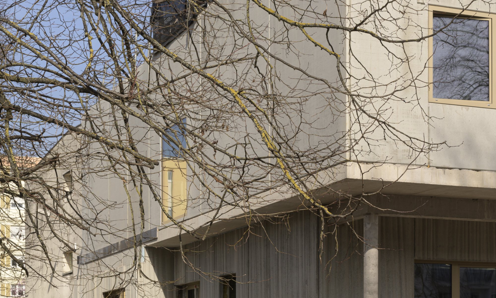 Ecole Victor Hugo - photo 30
